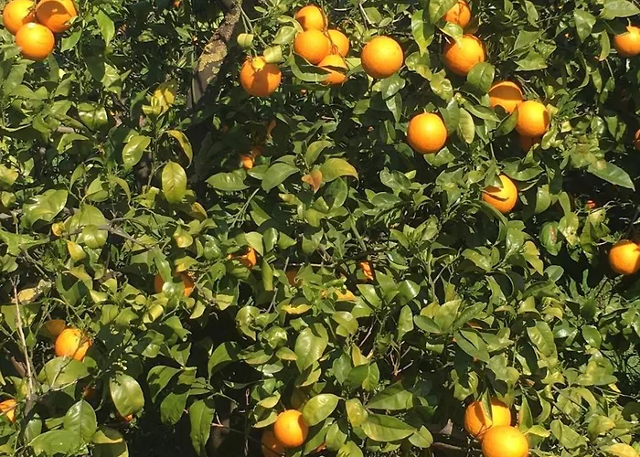 Casa De Plaza Candelaria